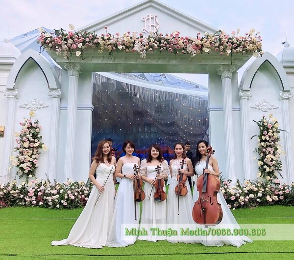 violin-bie-dien-chuyen-nghiep